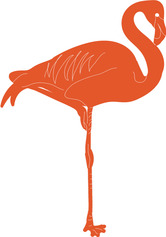 Flamingo