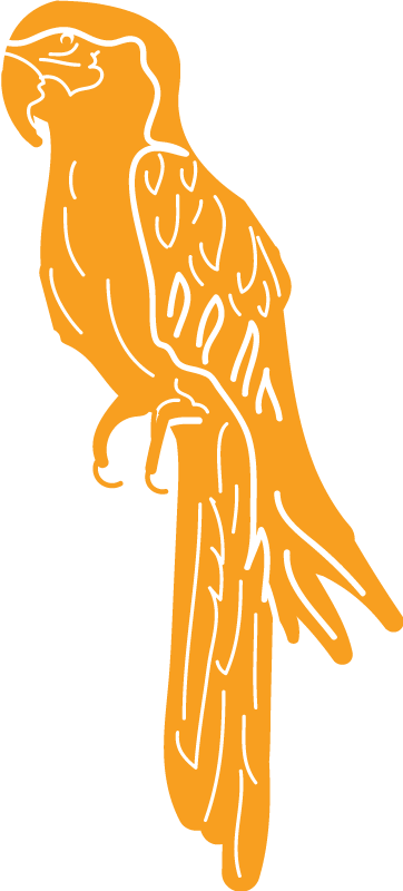 Parrot